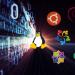5 Distributions Of Linux To Consider For Your Server