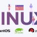 How To Pick a Linux Distribution